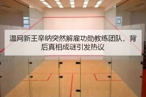 温网新王辛纳突然解雇功勋教练团队，背后真相成谜引发热议